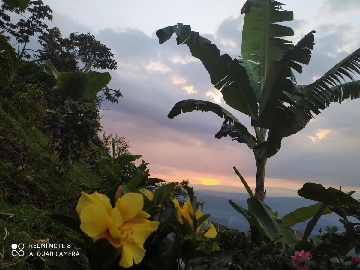 Mirador Finca Morrogacho Manizales Extérieur photo