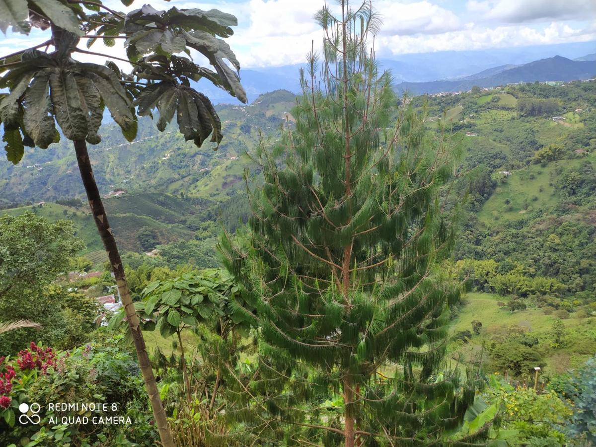 Mirador Finca Morrogacho Manizales Extérieur photo