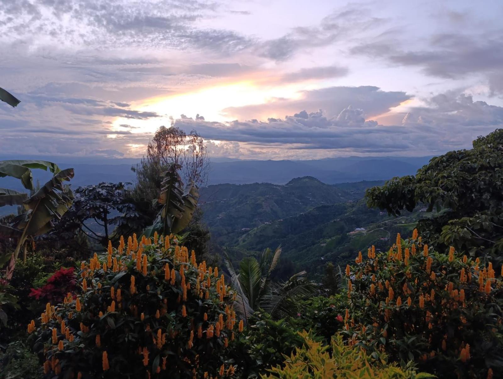 Mirador Finca Morrogacho Manizales Extérieur photo