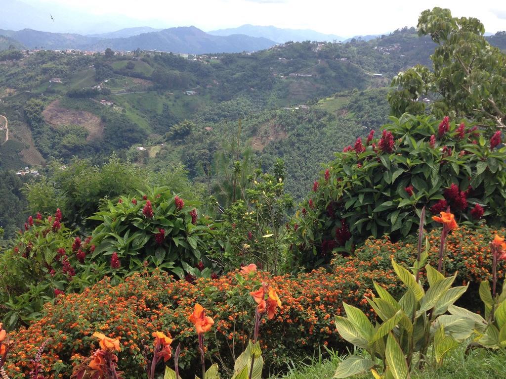 Mirador Finca Morrogacho Manizales Extérieur photo